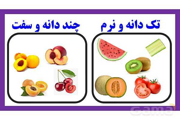 پاورپوینت تدریس درس 9: سرگذشت دانه | علوم تجربی دوم دبستان- پیش نمایش
