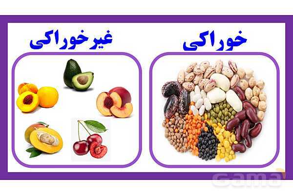 پاورپوینت تدریس درس 9: سرگذشت دانه | علوم تجربی دوم دبستان- پیش نمایش