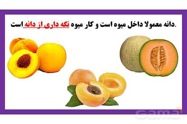 پاورپوینت تدریس درس 9: سرگذشت دانه | علوم تجربی دوم دبستان- پیش نمایش