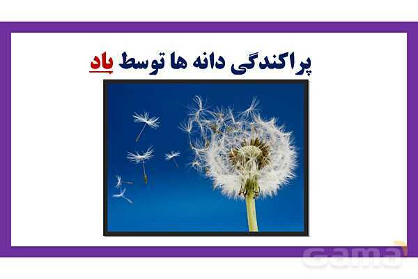 پاورپوینت تدریس درس 9: سرگذشت دانه | علوم تجربی دوم دبستان- پیش نمایش