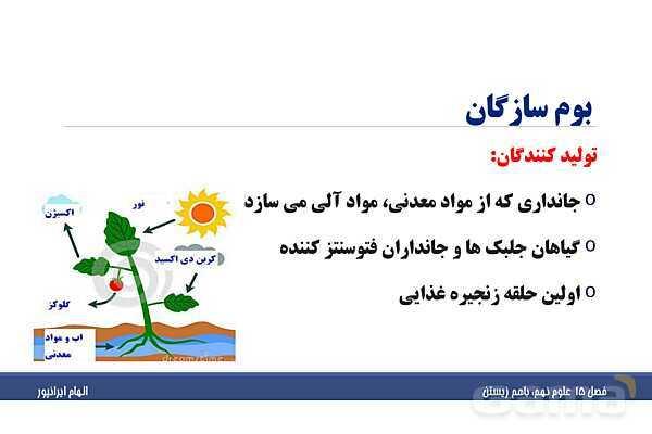 پاورپوینت تدریس فصل پانزدهم علوم تجربی نهم: باهم زیستن- پیش نمایش