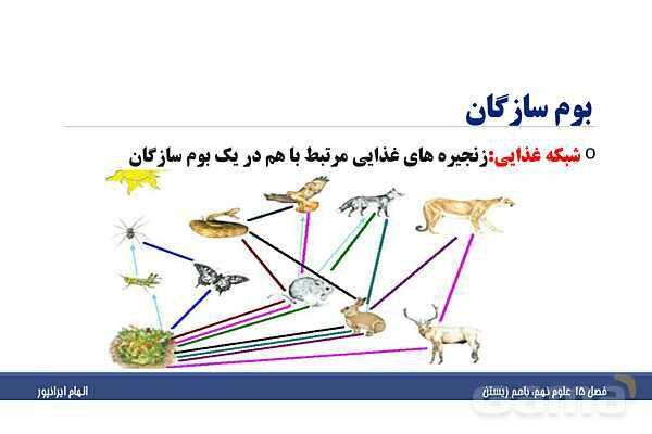 پاورپوینت تدریس فصل پانزدهم علوم تجربی نهم: باهم زیستن- پیش نمایش