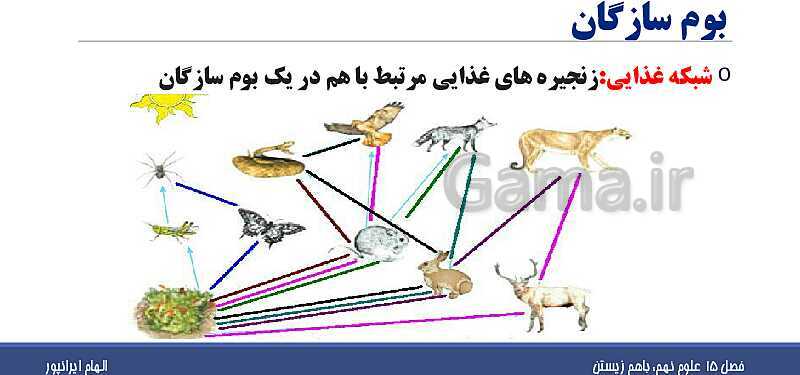 پاورپوینت تدریس فصل پانزدهم علوم تجربی نهم: باهم زیستن- پیش نمایش