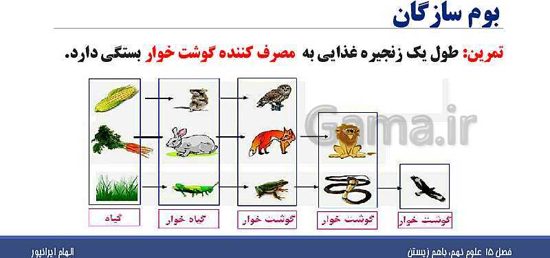 پاورپوینت تدریس فصل پانزدهم علوم تجربی نهم: باهم زیستن- پیش نمایش