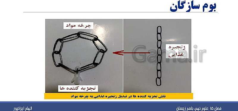 پاورپوینت تدریس فصل پانزدهم علوم تجربی نهم: باهم زیستن- پیش نمایش