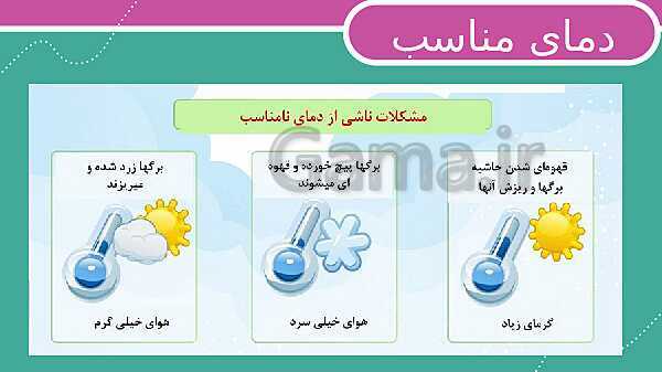 پاورپوینت درس 11: بکارید و بخورید (عوامل موثر بر رشد گیاهان)- پیش نمایش