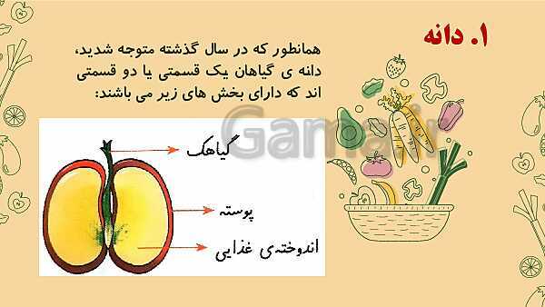 پاورپوینت درس 12: از ریشه تا برگ (قسمت‌های تشکیل دهنده‌ی گیاه)- پیش نمایش