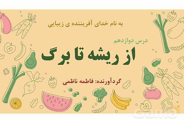 پاورپوینت درس 12: از ریشه تا برگ (قسمتهای تشکیل دهندهی گیاه)- پیش نمایش