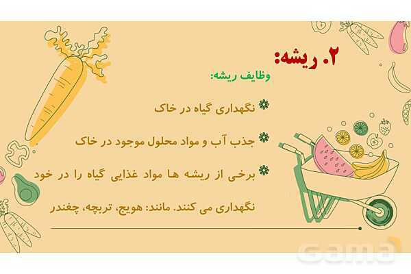 پاورپوینت درس 12: از ریشه تا برگ (قسمتهای تشکیل دهندهی گیاه)- پیش نمایش