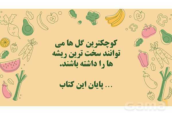 پاورپوینت درس 12: از ریشه تا برگ (قسمتهای تشکیل دهندهی گیاه)- پیش نمایش