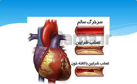 ارائه‌ی کلاسی کل کتاب درسی علوم هفتم - پیش نمایش