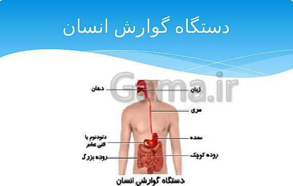 ارائه‌ی کلاسی کل کتاب درسی علوم هفتم - پیش نمایش