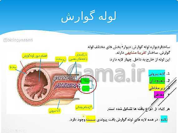 ارائه‌ی کلاسی کل کتاب درسی علوم هفتم - پیش نمایش