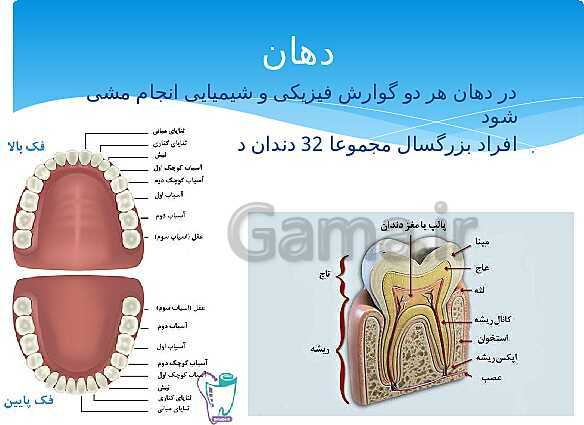 ارائه‌ی کلاسی کل کتاب درسی علوم هفتم - پیش نمایش