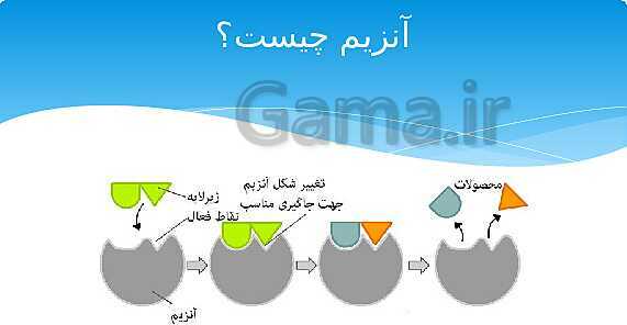 ارائه‌ی کلاسی کل کتاب درسی علوم هفتم - پیش نمایش