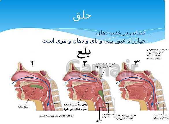 ارائه‌ی کلاسی کل کتاب درسی علوم هفتم - پیش نمایش