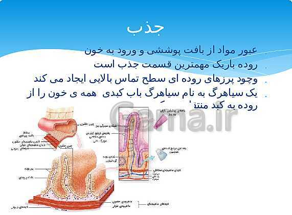 ارائه‌ی کلاسی کل کتاب درسی علوم هفتم - پیش نمایش