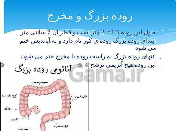 ارائه‌ی کلاسی کل کتاب درسی علوم هفتم - پیش نمایش