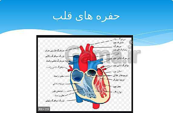 ارائه‌ی کلاسی کل کتاب درسی علوم هفتم - پیش نمایش