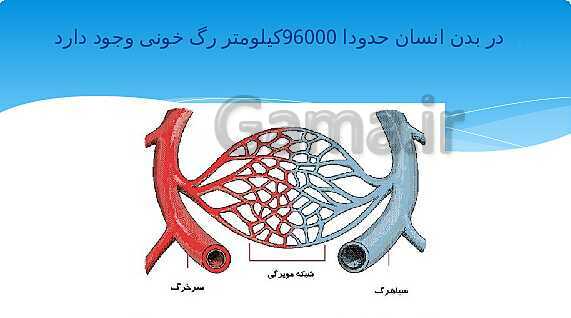 ارائه‌ی کلاسی کل کتاب درسی علوم هفتم - پیش نمایش