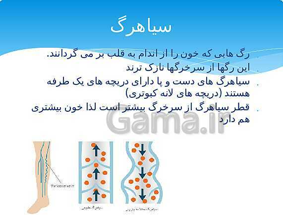 ارائه‌ی کلاسی کل کتاب درسی علوم هفتم - پیش نمایش