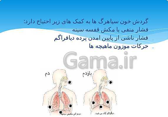 ارائه‌ی کلاسی کل کتاب درسی علوم هفتم - پیش نمایش