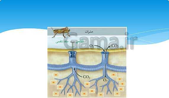 ارائه‌ی کلاسی کل کتاب درسی علوم هفتم - پیش نمایش