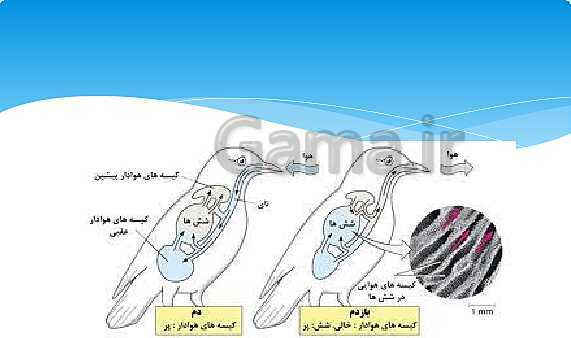 ارائه‌ی کلاسی کل کتاب درسی علوم هفتم - پیش نمایش