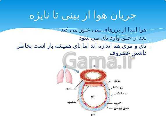 ارائه‌ی کلاسی کل کتاب درسی علوم هفتم - پیش نمایش