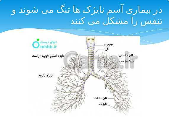 ارائه‌ی کلاسی کل کتاب درسی علوم هفتم - پیش نمایش