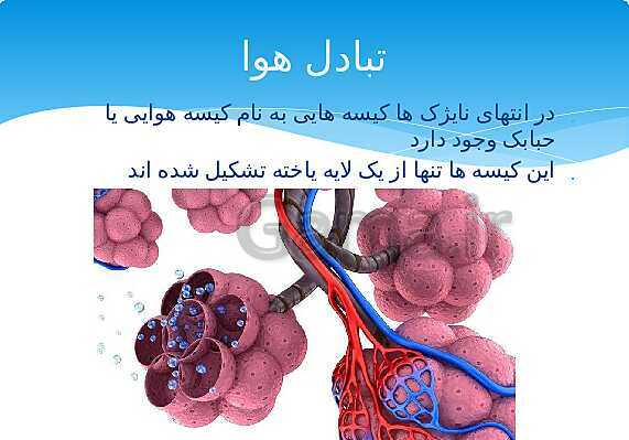 ارائه‌ی کلاسی کل کتاب درسی علوم هفتم - پیش نمایش