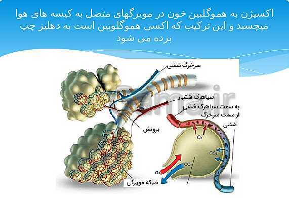 ارائه‌ی کلاسی کل کتاب درسی علوم هفتم - پیش نمایش