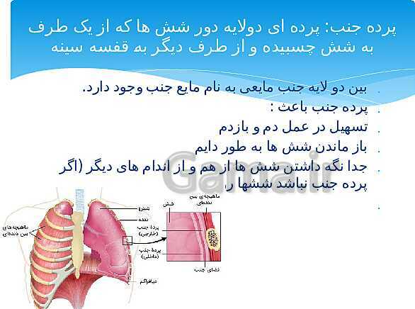 ارائه‌ی کلاسی کل کتاب درسی علوم هفتم - پیش نمایش