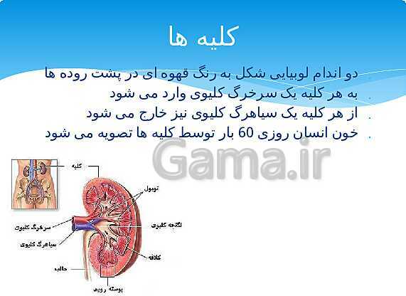 ارائه‌ی کلاسی کل کتاب درسی علوم هفتم - پیش نمایش