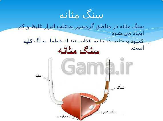 ارائه‌ی کلاسی کل کتاب درسی علوم هفتم - پیش نمایش