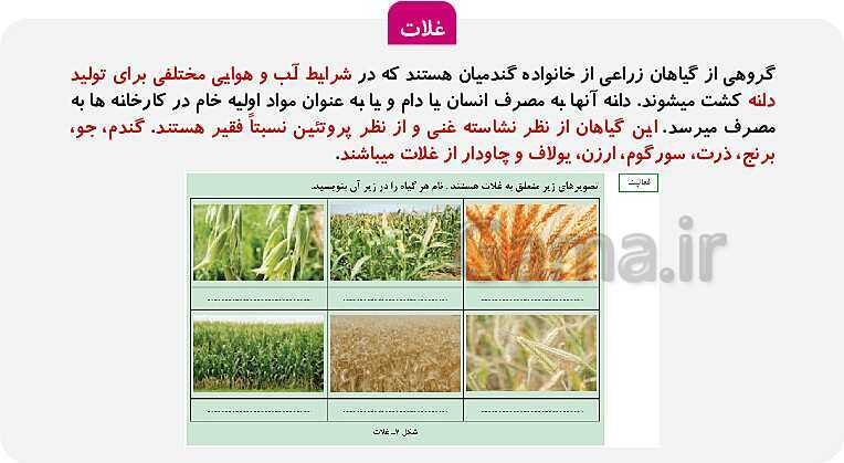 پاورپوینت پودمان 1: کلیات | کتاب دانش فنی پایه پایه دهم رشته امور زراعی و باغی- پیش نمایش