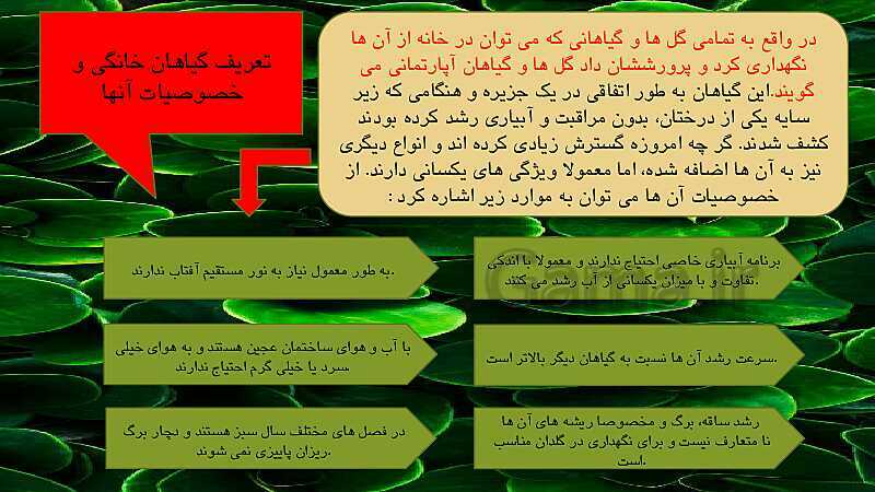 کنفرانس دانش آموزی پودمان 10 کار و فناوری پایه هفتم: پرورش و نگهداری گیاهان خانگی- پیش نمایش