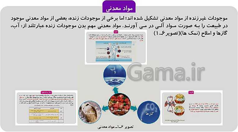 پاورپوینت فصل 1: حیات و زیست شناسی | کتاب زیست شناسی پایه دهم فنی- پیش نمایش