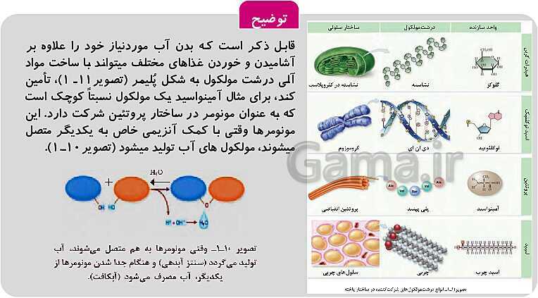 پاورپوینت فصل 1: حیات و زیست شناسی | کتاب زیست شناسی پایه دهم فنی- پیش نمایش