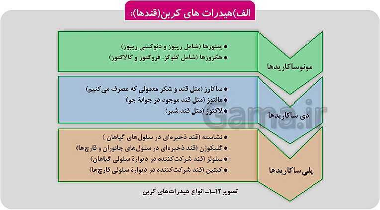 پاورپوینت فصل 1: حیات و زیست شناسی | کتاب زیست شناسی پایه دهم فنی- پیش نمایش