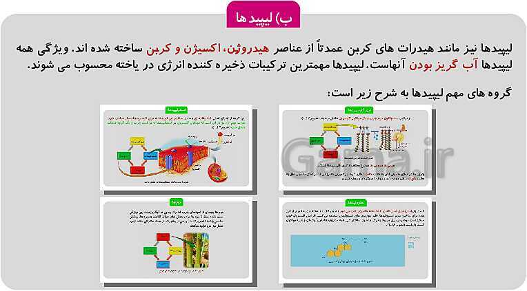 پاورپوینت فصل 1: حیات و زیست شناسی | کتاب زیست شناسی پایه دهم فنی- پیش نمایش