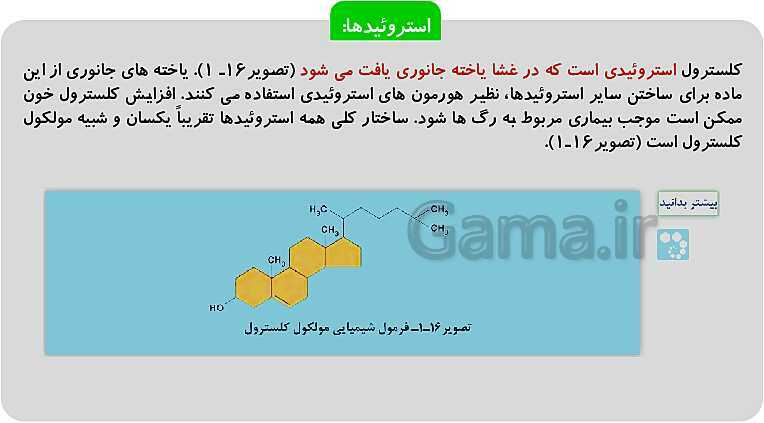 پاورپوینت فصل 1: حیات و زیست شناسی | کتاب زیست شناسی پایه دهم فنی- پیش نمایش