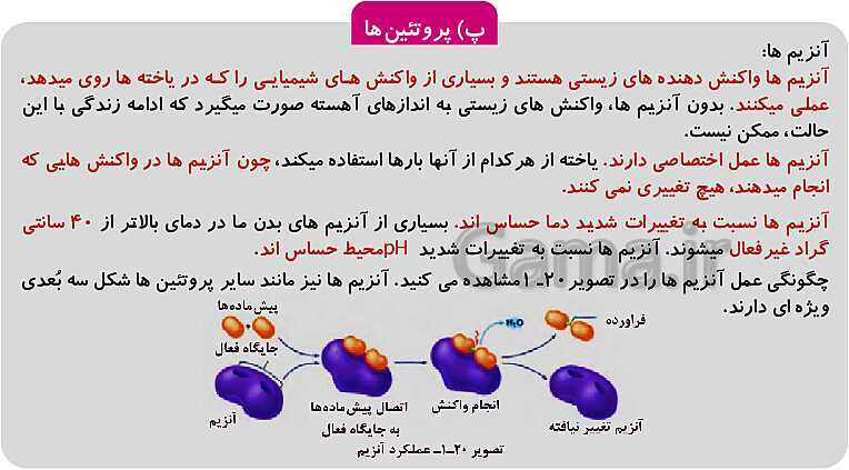 پاورپوینت فصل 1: حیات و زیست شناسی | کتاب زیست شناسی پایه دهم فنی- پیش نمایش