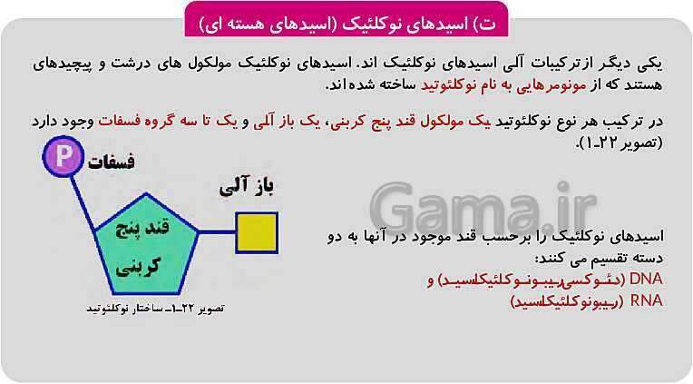 پاورپوینت فصل 1: حیات و زیست شناسی | کتاب زیست شناسی پایه دهم فنی- پیش نمایش