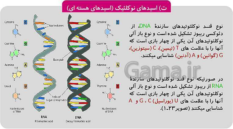 پاورپوینت فصل 1: حیات و زیست شناسی | کتاب زیست شناسی پایه دهم فنی- پیش نمایش