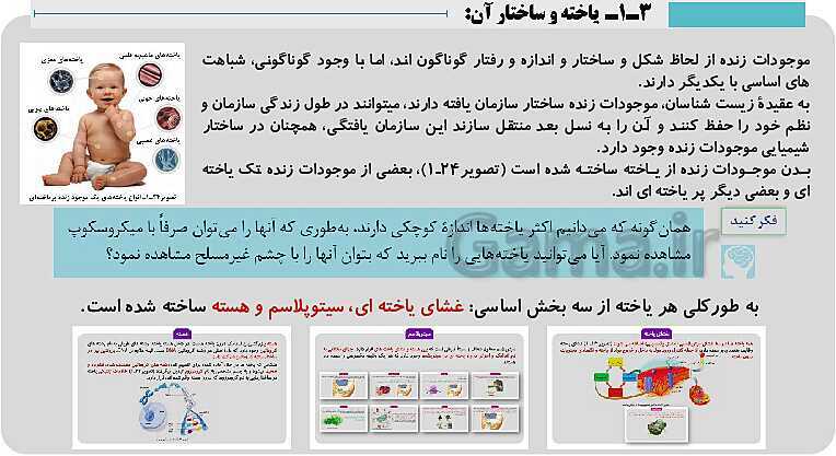 پاورپوینت فصل 1: حیات و زیست شناسی | کتاب زیست شناسی پایه دهم فنی- پیش نمایش