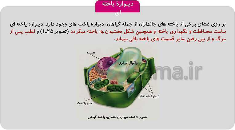 پاورپوینت فصل 1: حیات و زیست شناسی | کتاب زیست شناسی پایه دهم فنی- پیش نمایش