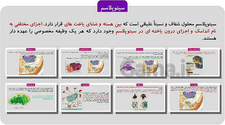 پاورپوینت فصل 1: حیات و زیست شناسی | کتاب زیست شناسی پایه دهم فنی- پیش نمایش