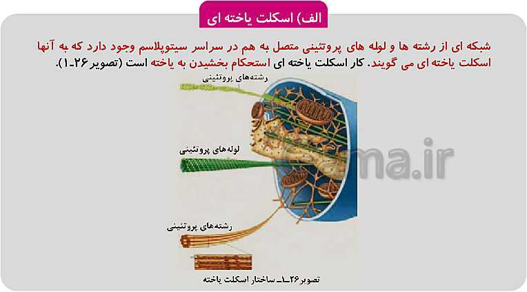 پاورپوینت فصل 1: حیات و زیست شناسی | کتاب زیست شناسی پایه دهم فنی- پیش نمایش