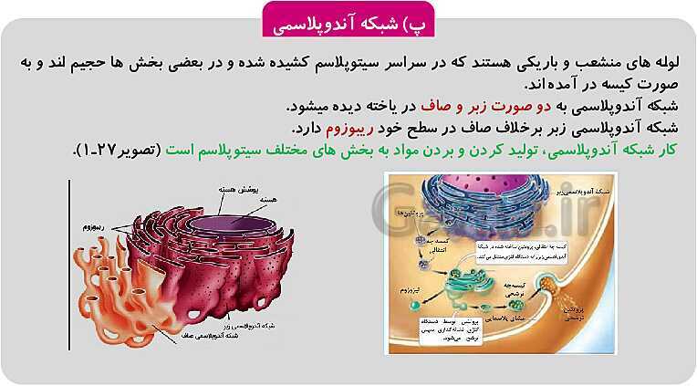 پاورپوینت فصل 1: حیات و زیست شناسی | کتاب زیست شناسی پایه دهم فنی- پیش نمایش